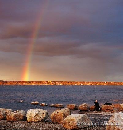 Gull At The End Of The Rainbow_09932.jpg - Photographed along the Ottawa River at Shirley's Bay in Ottawa, Ontario - the capital of Canada.